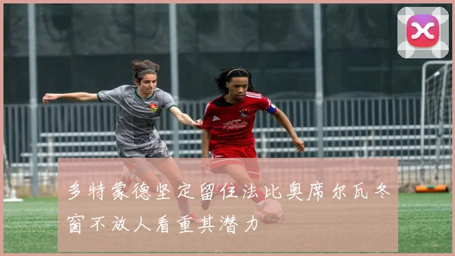 多特蒙德坚定留住法比奥席尔瓦冬窗不放人看重其潜力