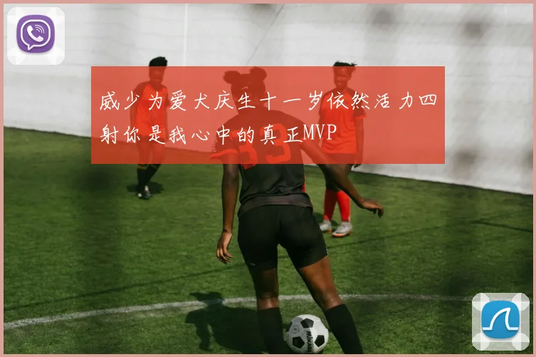 威少为爱犬庆生十一岁依然活力四射你是我心中的真正MVP